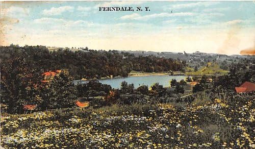 Пощенска картичка от Ферндейла, Ню Йорк